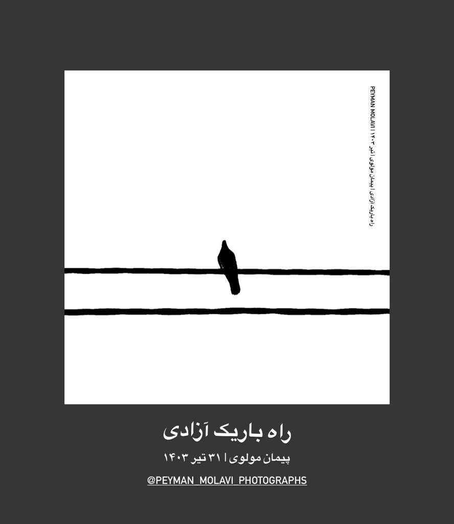 راه باریک آزادی | پیمان مولوی | تیر ۱۴۰۳ | PEYMAN MOLAVI