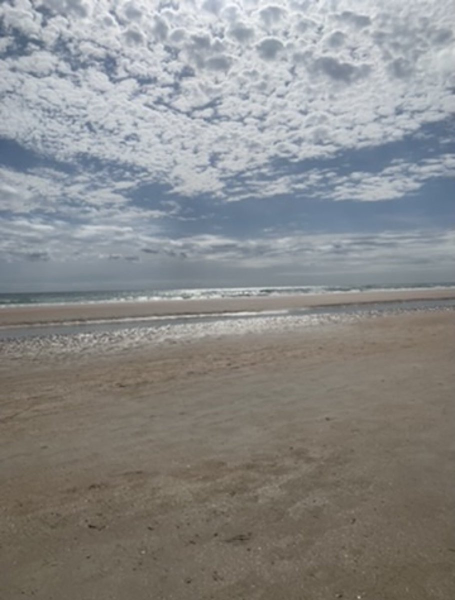 Say hello to Bethune Cookman University in Daytona Beach! This is the largest HBCU in FL. Private school known for their engineering program. This school is very close to the actual beach and a ton of entetainment!