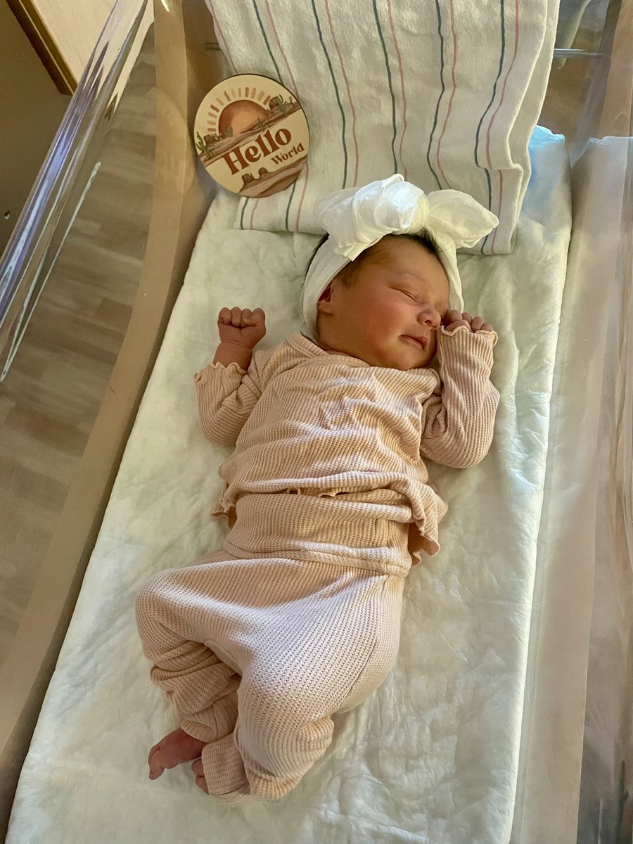 Jordan Schwarz tweet media