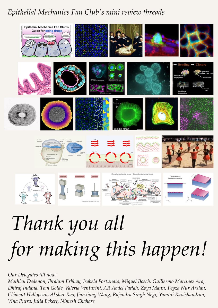 🎉 Happy Epithelial Mechanics Day!

A huge shoutout to all our delegates who've made this journey possible. Together, we've crafted 25 amazing threads in the past year! Join us to contribute/read our bi-weekly threads. Let's keep this club going! 👥