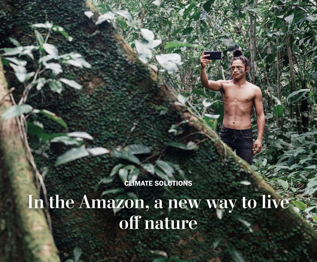 aurorasolarinc's tweet photo. For 40+ years the Achuar people have advocated to stop local #oildevelopment which ravages the #EcuadorianAmazon.
Now a smattering of #solarpanels across 12 villages in #Ecuador’s deeply #forested provinces is brightening the communities’ future. 🌎 https://t.co/JmiBFWE8Yz https://t.co/M3ZDpPIlur