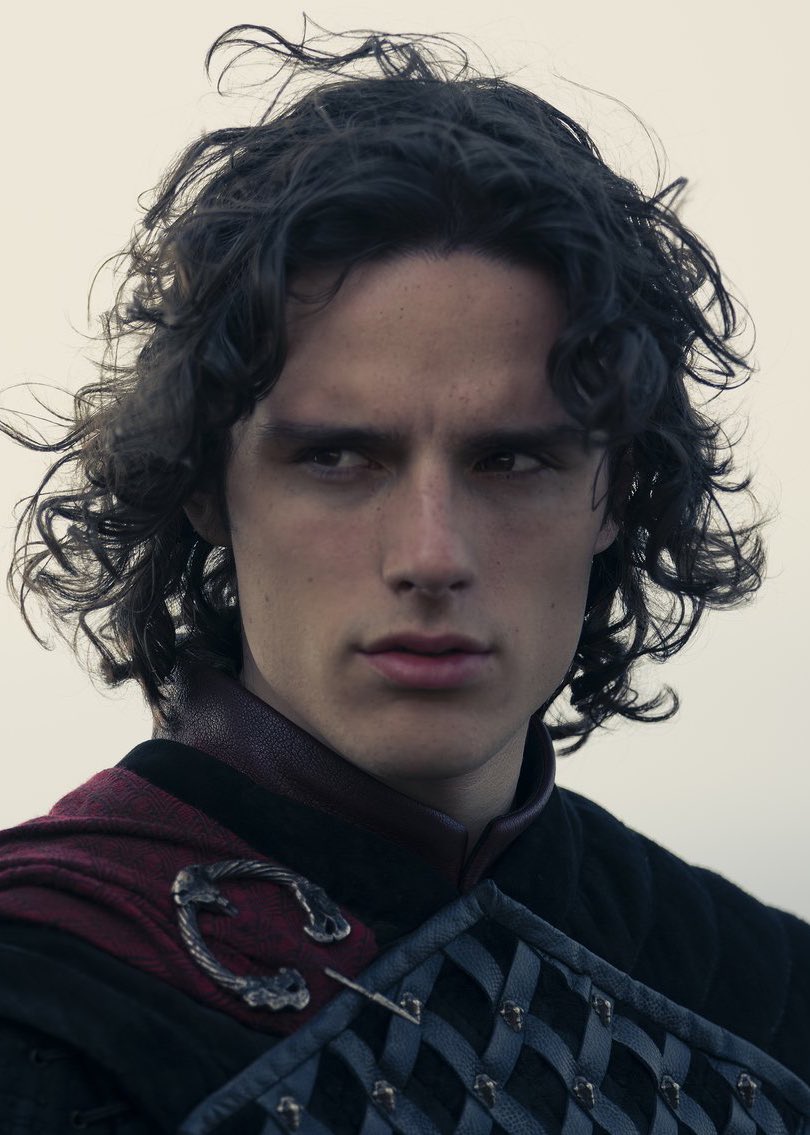 caffrey05's tweet photo. El único trabajo, por el momento, de Jacaerys Velaryon en House Of The Dragon es ser bien pinche hermoso el hdspm. Y lo está haciendo muy bien. https://t.co/QAefqQxJ22
