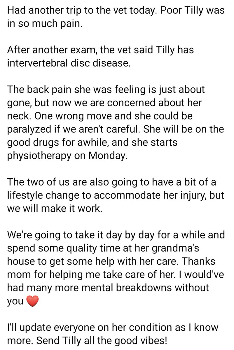 ashley_offi's tweet photo. I haven't been posting much. My life has been on fire for the past few months, but this past week has probably worst, because now my world is on fire too.

Tilly update (my entire world): https://t.co/4PrXV3tTCp