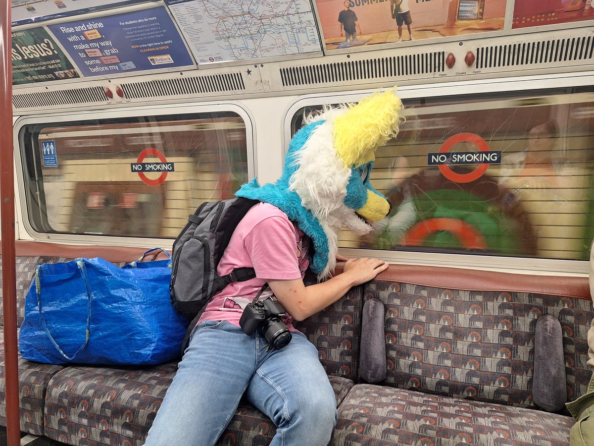 Tube floof!

Photo by a friend who stays off social media
#furry #fursuit #railfur