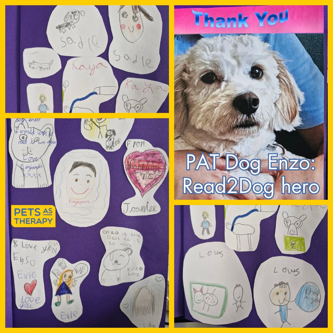PetsAsTherapyUK's tweet image. #PATDog Enzo is a #Read2Dogs hero. As term ended at @CrooksbarnPri he received lovely cards made by the pupils he helped throughout the year💛🐾
We're not crying we just have something in our eyes🥹
petsastherapy.org/information/in…
#PetsAsTherapy #R2D #DogsInSchools #EDu #Education