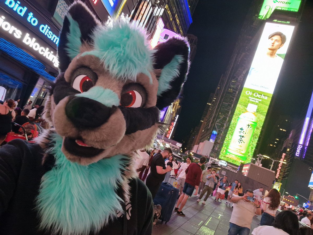 Katyro 🦊 tweet media