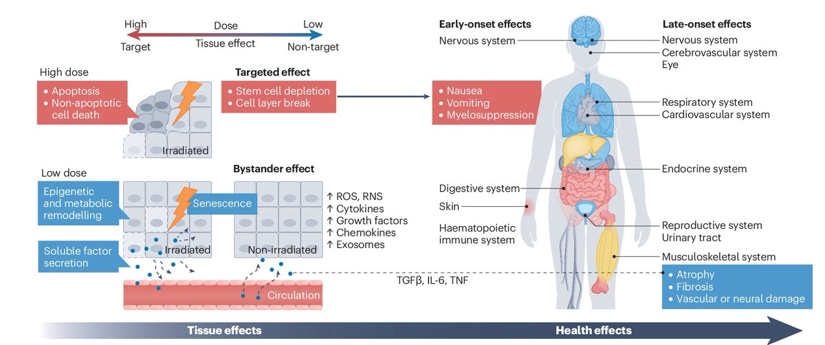Joseph C Wu, MD, PhD (@joseph_c_wu) on Twitter photo Check out our latest in <a href="/NatRevCardiol/">Nature Reviews Cardiology</a> on the cardiovascular impacts by ionizing radiation <a href="/jahng_james/">James WS Jahng, PhD</a> <a href="/DoctorNoMD/">Hyunsoo Joshua No, MD, CMD</a> <a href="/StanfordCVI/">Stanford CVI</a> <a href="/BLoo_LT_SABR/">Bill Loo MD PhD ⚡️☢️</a> <a href="/StanfordRadOnc/">Stanford Radiation Oncology</a> @NCIEpiTraining <a href="/GreenstoneBio/">Greenstone Biosciences</a>. Proud of our team effort went into this comprehensive review!
👉rdcu.be/dNpPJ Check out our latest in <a href="/NatRevCardiol/">Nature Reviews Cardiology</a> on the cardiovascular impacts by ionizing radiation <a href="/jahng_james/">James WS Jahng, PhD</a> <a href="/DoctorNoMD/">Hyunsoo Joshua No, MD, CMD</a> <a href="/StanfordCVI/">Stanford CVI</a> <a href="/BLoo_LT_SABR/">Bill Loo MD PhD ⚡️☢️</a> <a href="/StanfordRadOnc/">Stanford Radiation Oncology</a> @NCIEpiTraining <a href="/GreenstoneBio/">Greenstone Biosciences</a>. Proud of our team effort went into this comprehensive review!
👉rdcu.be/dNpPJ