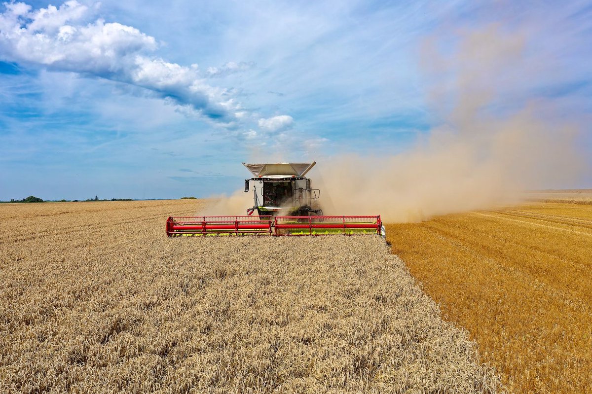 catramca's tweet photo. Moisson avec @CLAASFrance  Lexion 8700 TT https://t.co/ru8sZ26Yxe