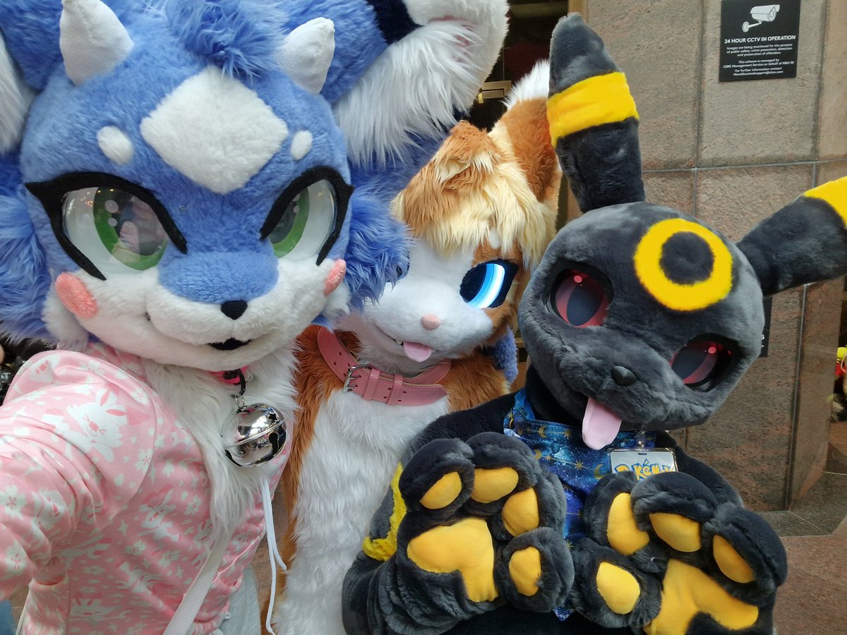 Amazing weekend with 3 most awesome people!! my boy <a href="/Kitzen_Waffles/">Waffles</a> 🩵 and buddies <a href="/LexyBytes/">Lexy</a> (umbreon) and <a href="/_hobber/">hobber</a>  (off photo busy with a camera)