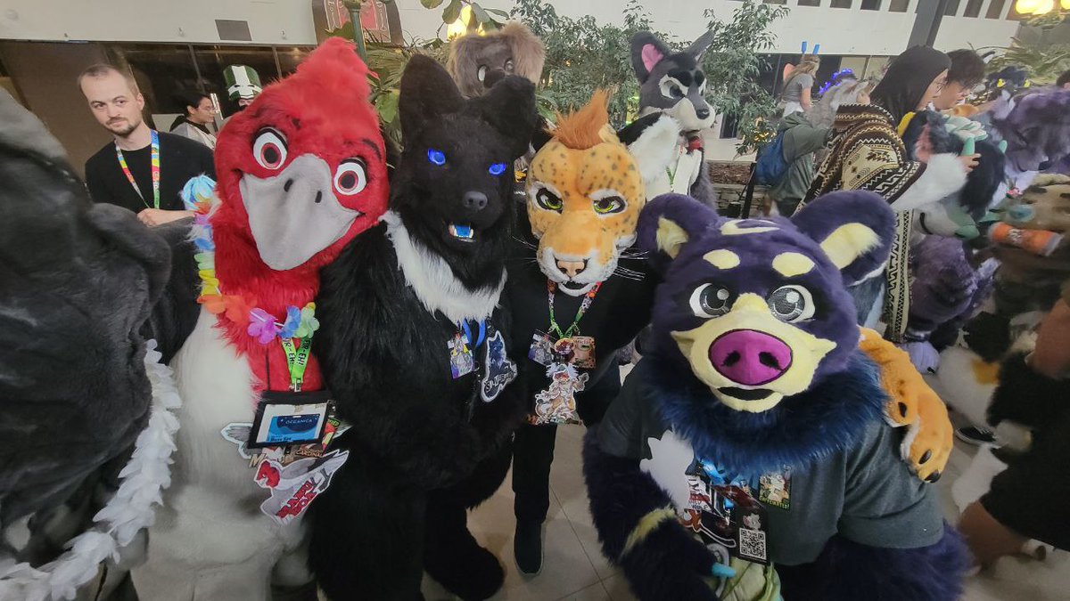 Manu_Koa's tweet photo. Sharing a cute picture of Manu, @equusreined, @MaikeruTheNeko and @Tentaclewoof taken at the Fursuit Photoshoot yesterday at Fur-Eh! 2024.

#fureh #fureh2024

📸 by @zxarr https://t.co/TYKL1ulJzT