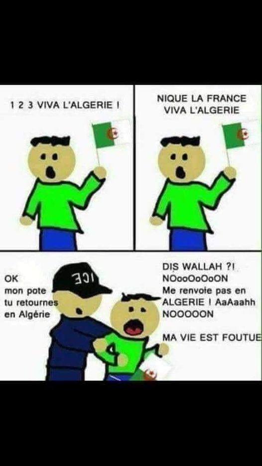 🇫🇷Olivier92🇺🇸 tweet media