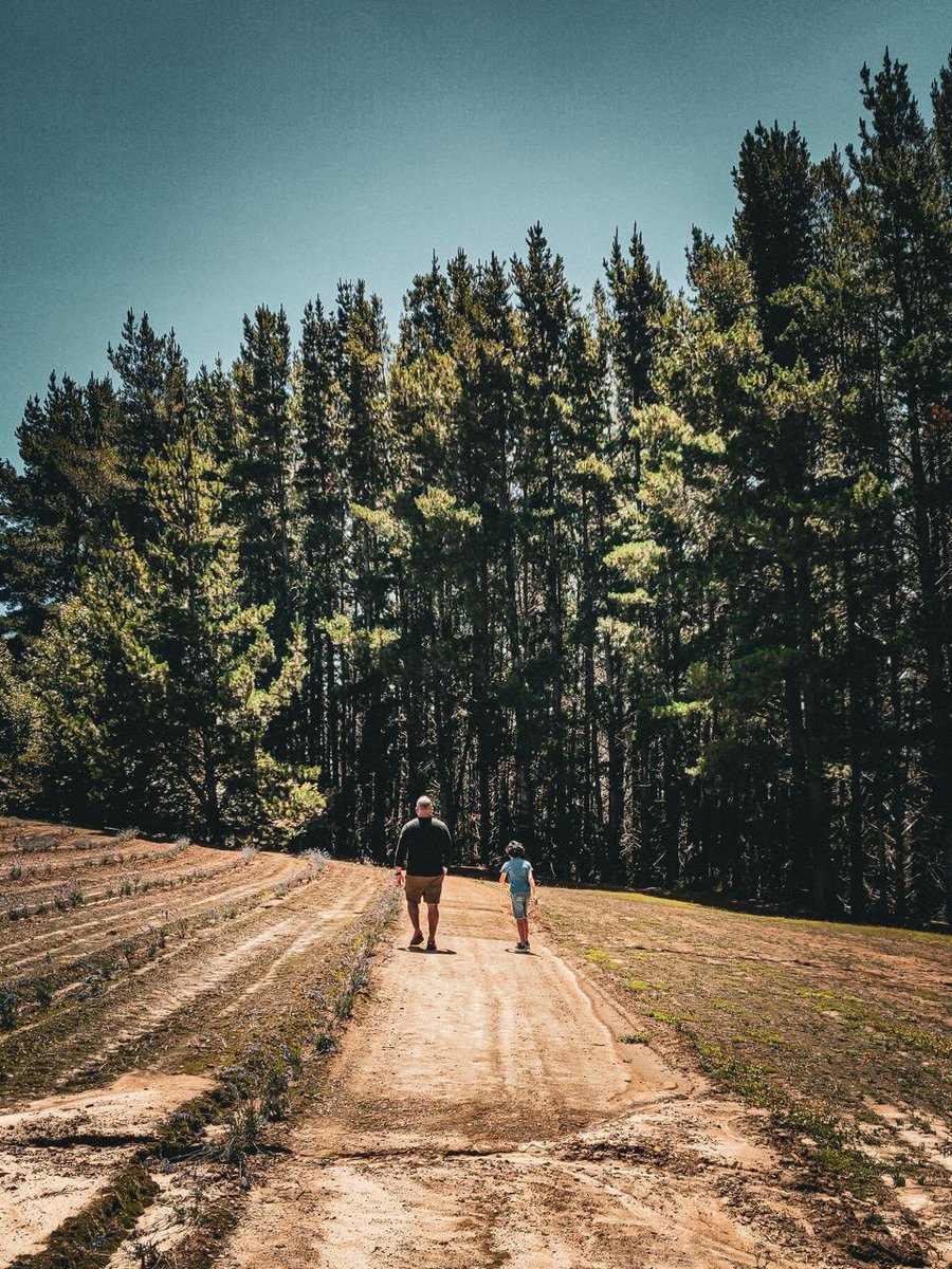 For this journey
Is the destination.