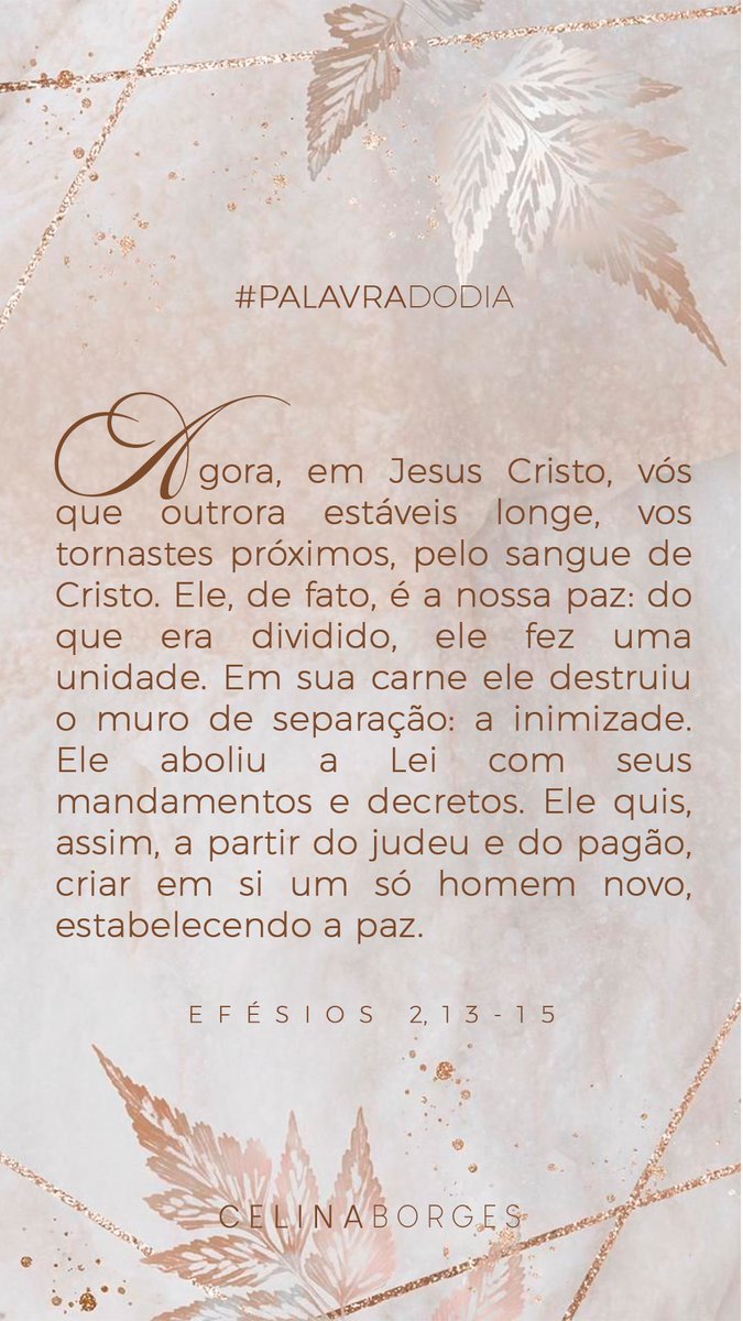 Celina Borges tweet media