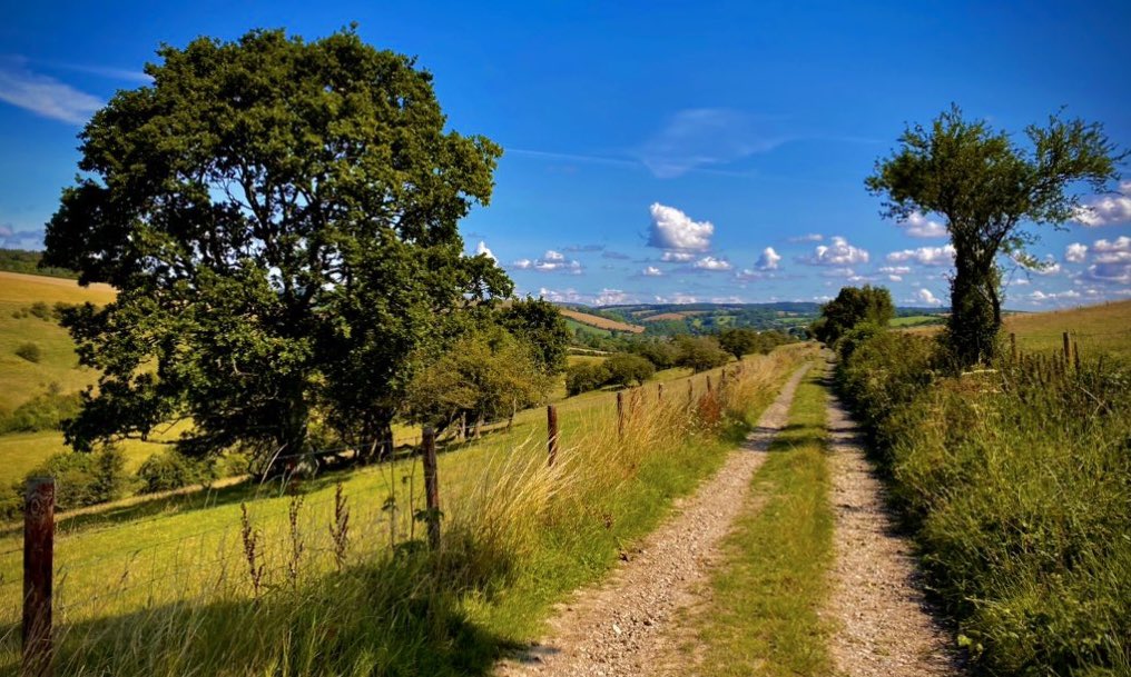 Aled Hall 🏴󠁧󠁢󠁷󠁬󠁳󠁿 tweet media