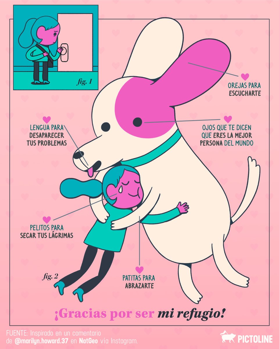 pictoline's tweet photo. Una buena dosis de oxitocina con mi 🐶💞 y se me reinicia la vida ✨

#Perrijos #Perritos #Compañerofiel #Peluditos #PersonaFavorita #AmorPerruno #Amoratumascota #ReiniciaLaVida #Pictoline #DíaDelPerro https://t.co/CNziqzpYKN