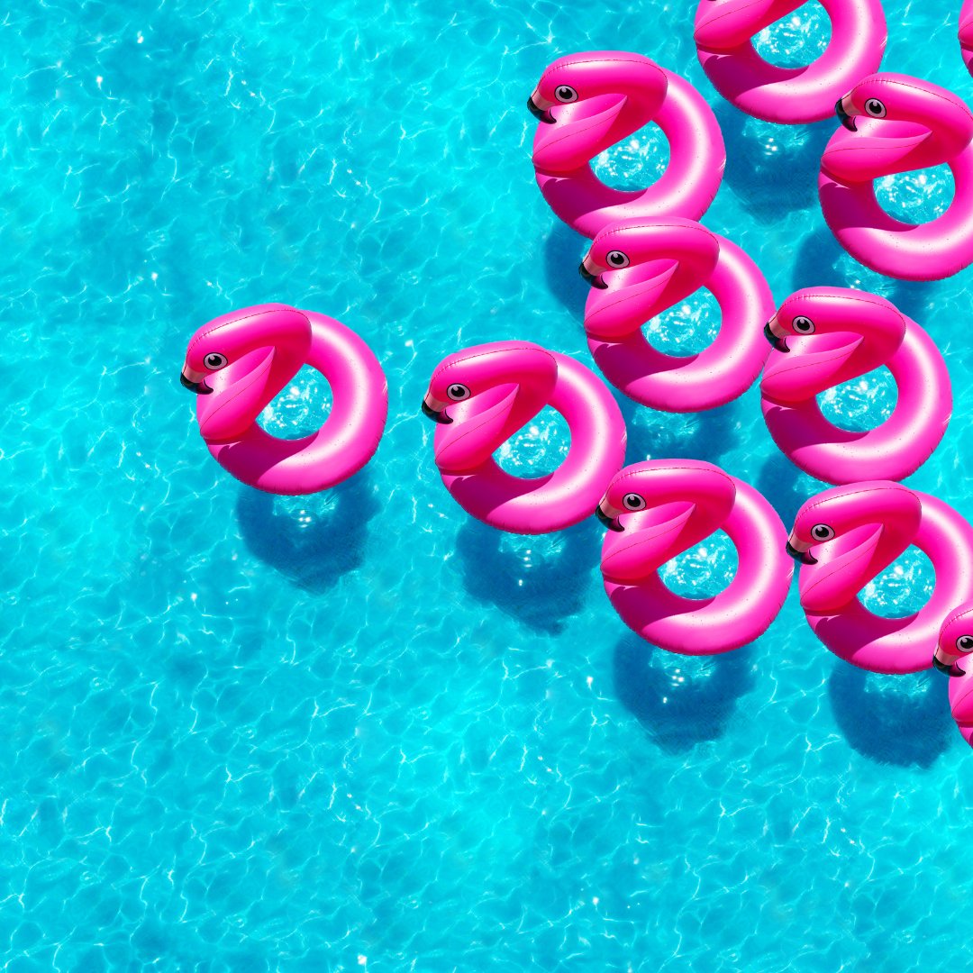 Mister Poolman tweet media