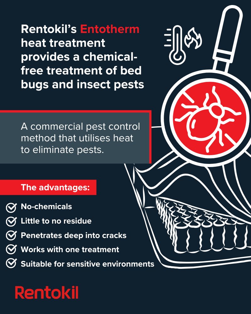 RentokilInitial's tweet image. 🛏️ Bed bugs are a nightmare for the hospitality sector.

To combat this, #Rentokil has developed a non-toxic #heattreatment solution that is effective against #bedbugs and insect #pests at every lifecycle stage—all in a single treatment.