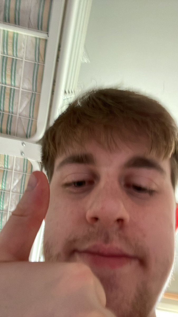 andi©️ tweet media