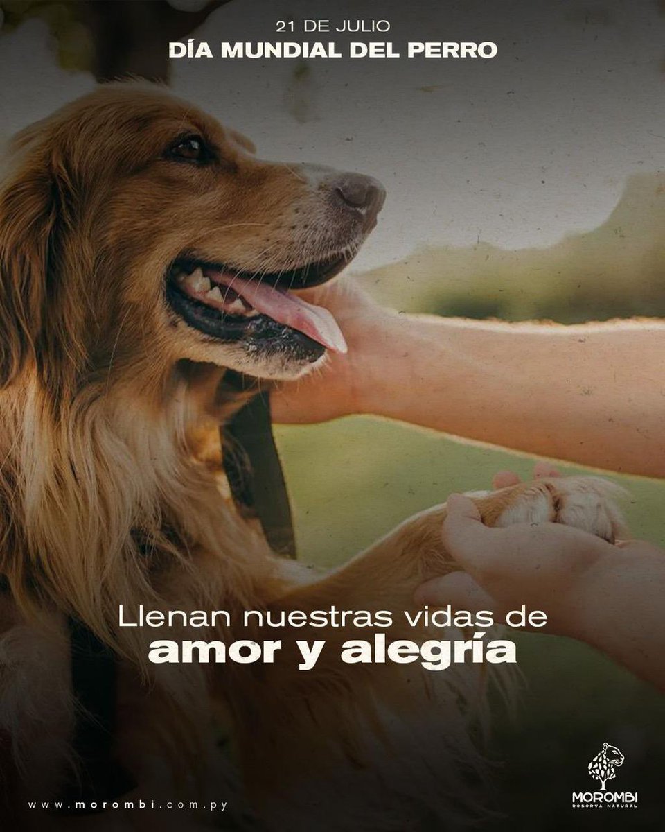 ReservaMorombi's tweet photo. 🐶 Descendiente del lobo, el perro moderno, ha esta estado a nuestro lado desde hace miles de años, los registros más primitivos datan de 36.000 años atrás, su compañía representaba una gran ventaja para el cazador de la época. 🐕
Fuente: https://t.co/Af4ABoNFJC
#Morombi #Perro https://t.co/xspi5iCdUF