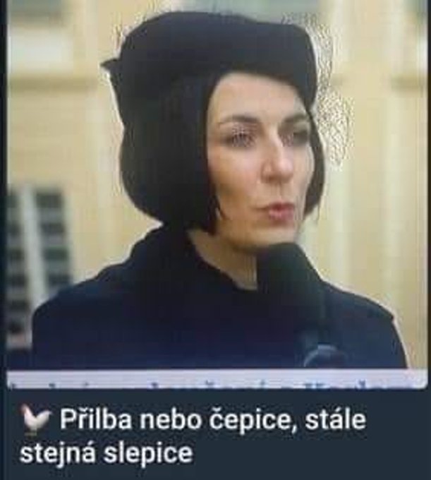 Obrázek