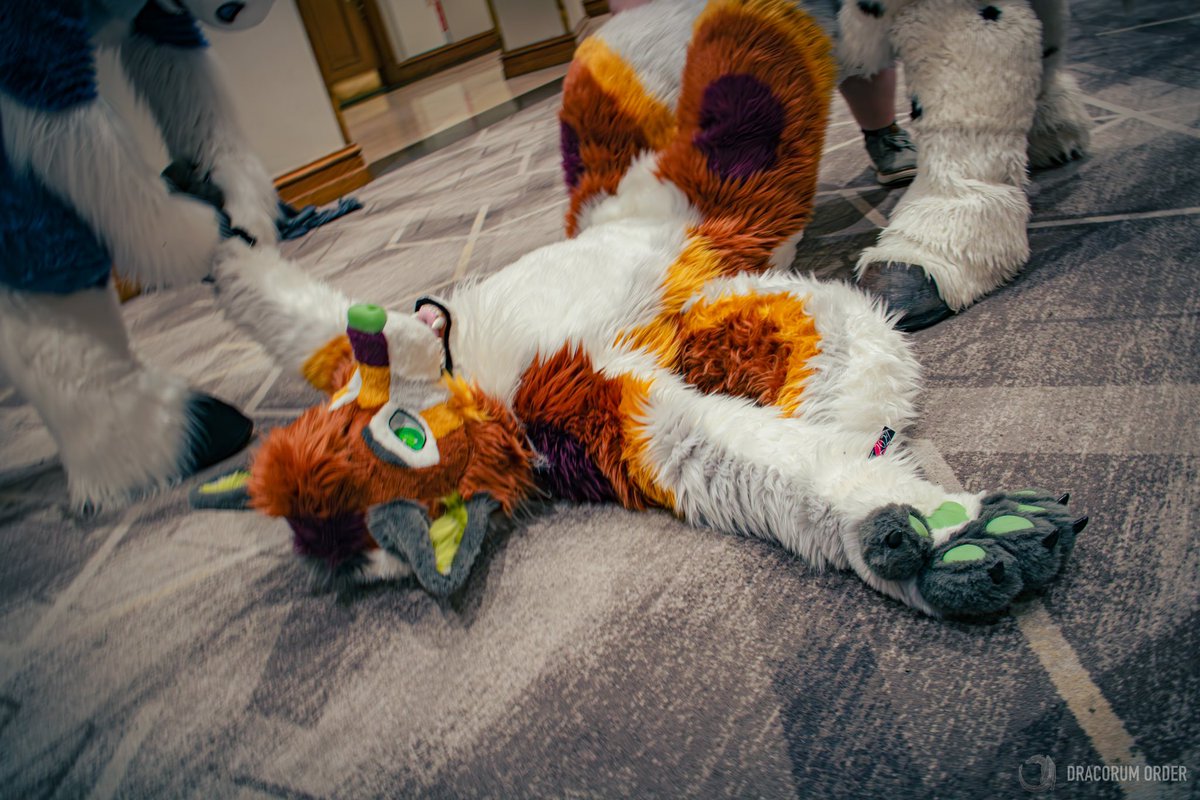 Lazy Sunday energy feels 😴 

📸 <a href="/DracorumOrder/">Dracorum Order 🧧</a>