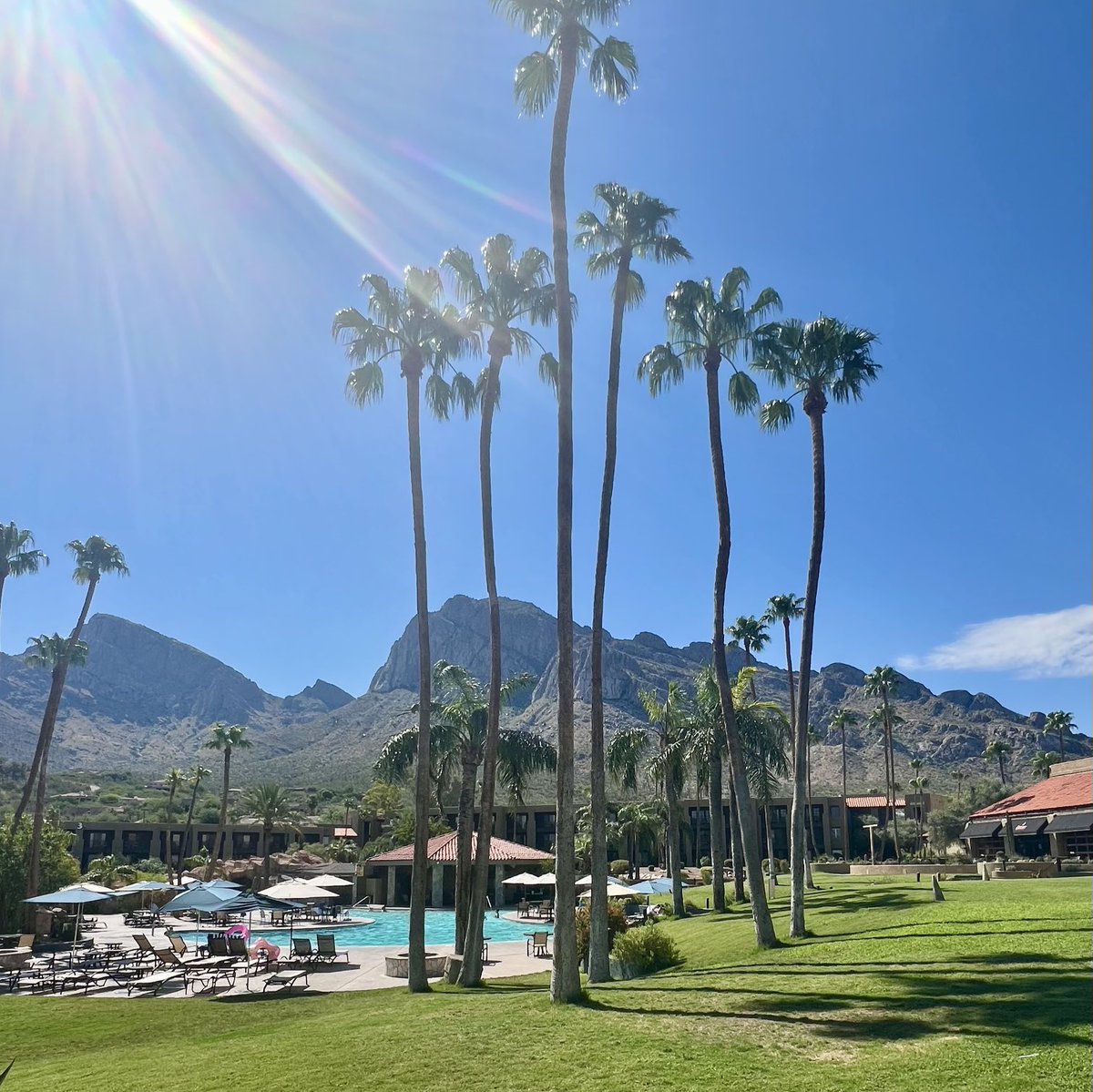 Dr. Alexa Sorden, Ed.D tweet media