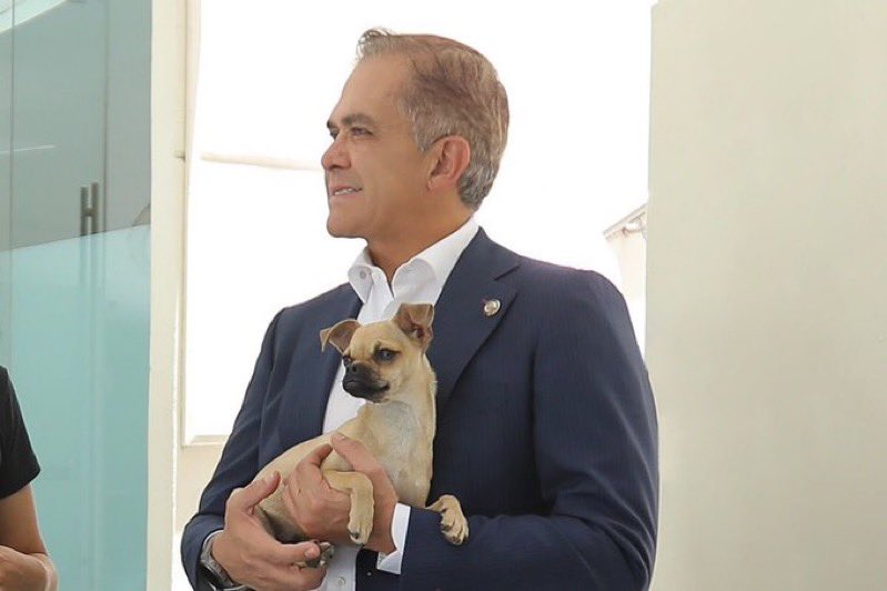Miguel Ángel Mancera tweet media
