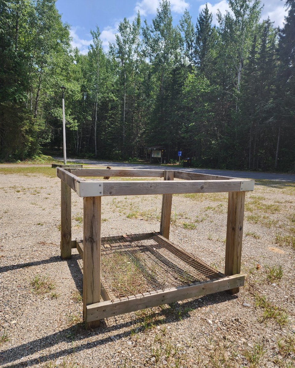 Earlier this season a painted turtle was spotted laying her eggs inside the park. 🐢 

We installed this nest protector to fend off predators and human activity! 🦊

Please avoid ecological integrity infrastructure in the park and report turtle nests to staff. 🥚

#DiscoverOP