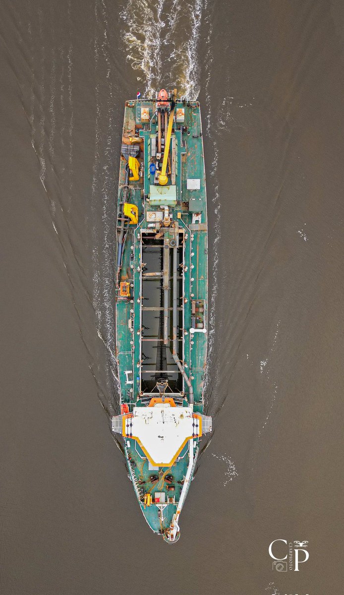 Charlock. #vanderheriksliedrecht