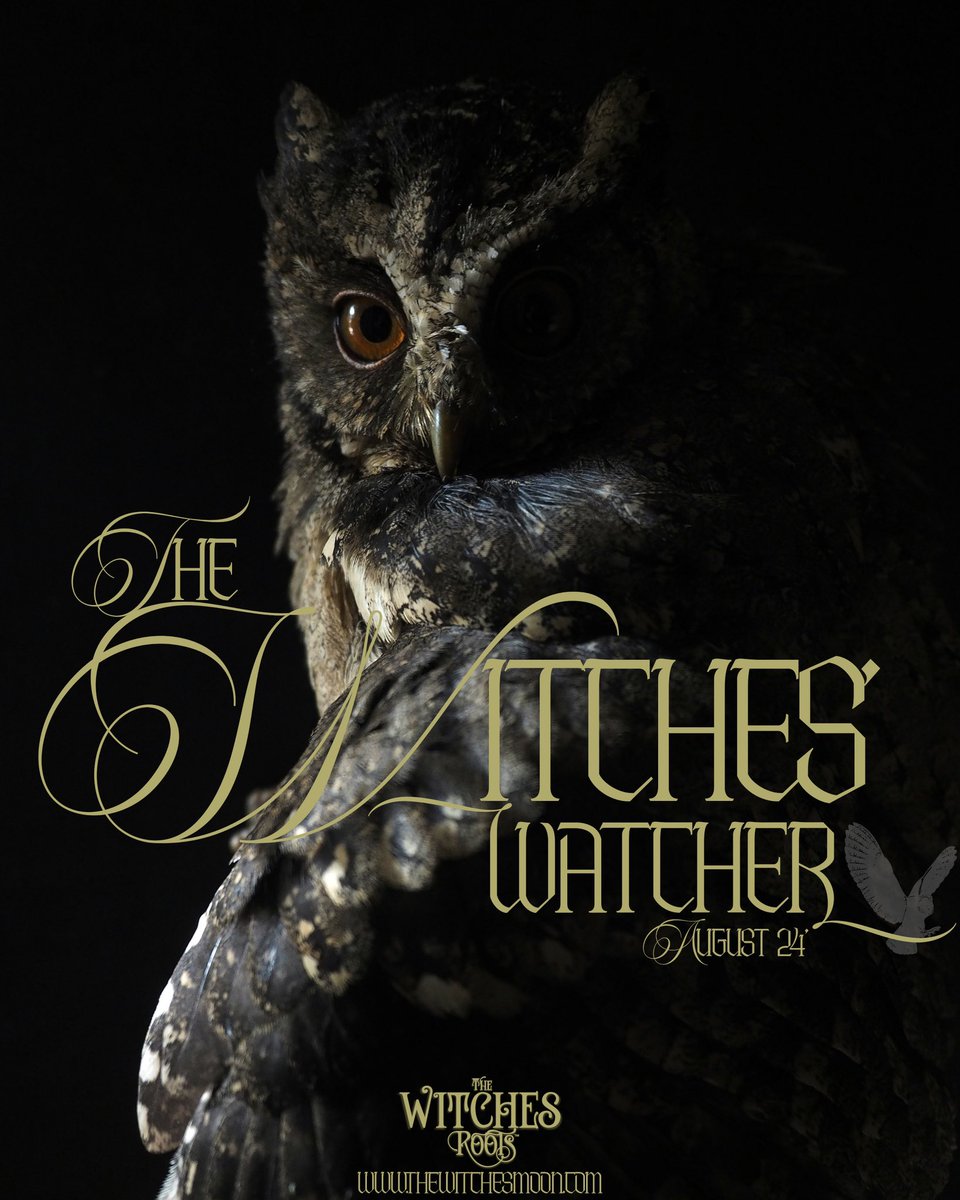 thewitchesmoon_'s tweet photo. The Witches Roots™ ~ The Witches’ Watcher ~ August 2024 https://t.co/nTFFSoadoI