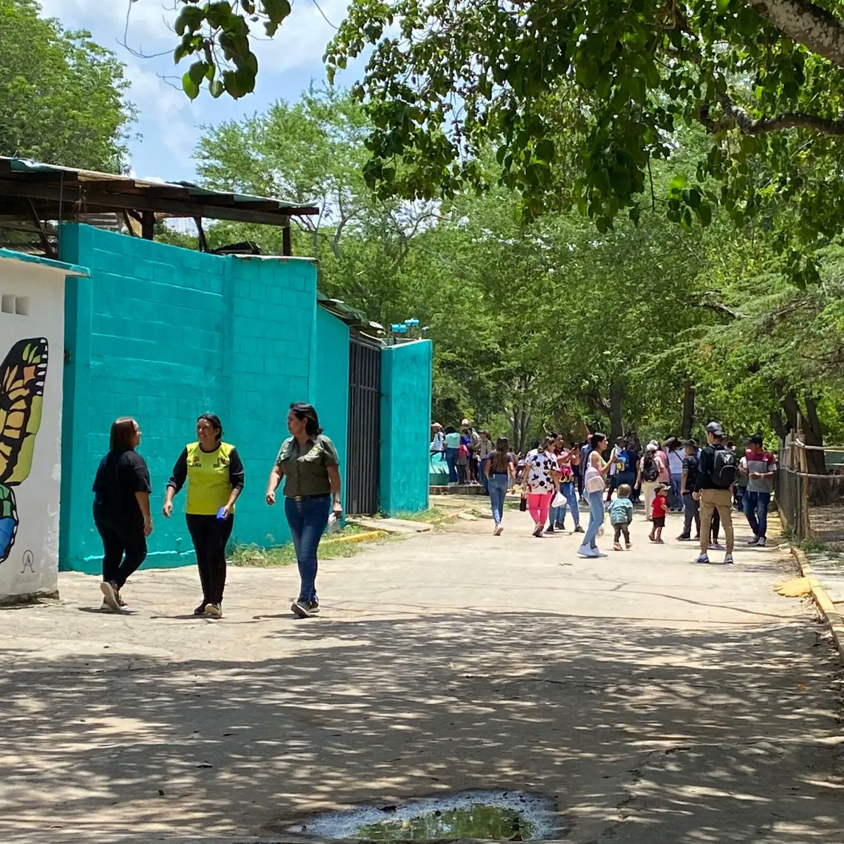 ¡Feliz día del niño y la niña desde el <a href="/ParqueBararida/">Parque Zoológico y Botánico Bararida</a>! 

#VenezuelaPintaBonito