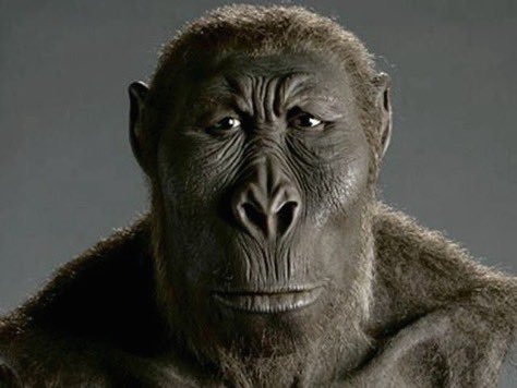 Lafeinte tweet media