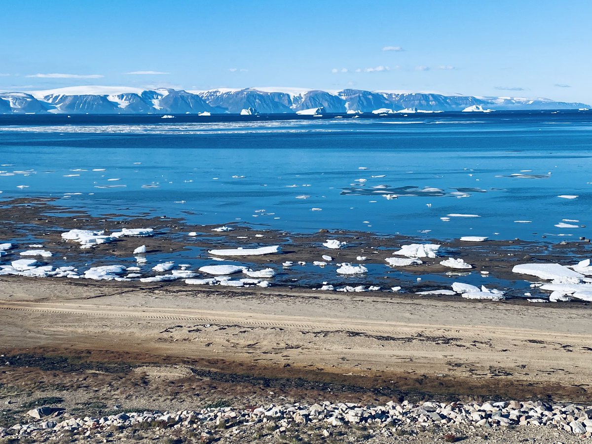 Lorna Linch tweet media