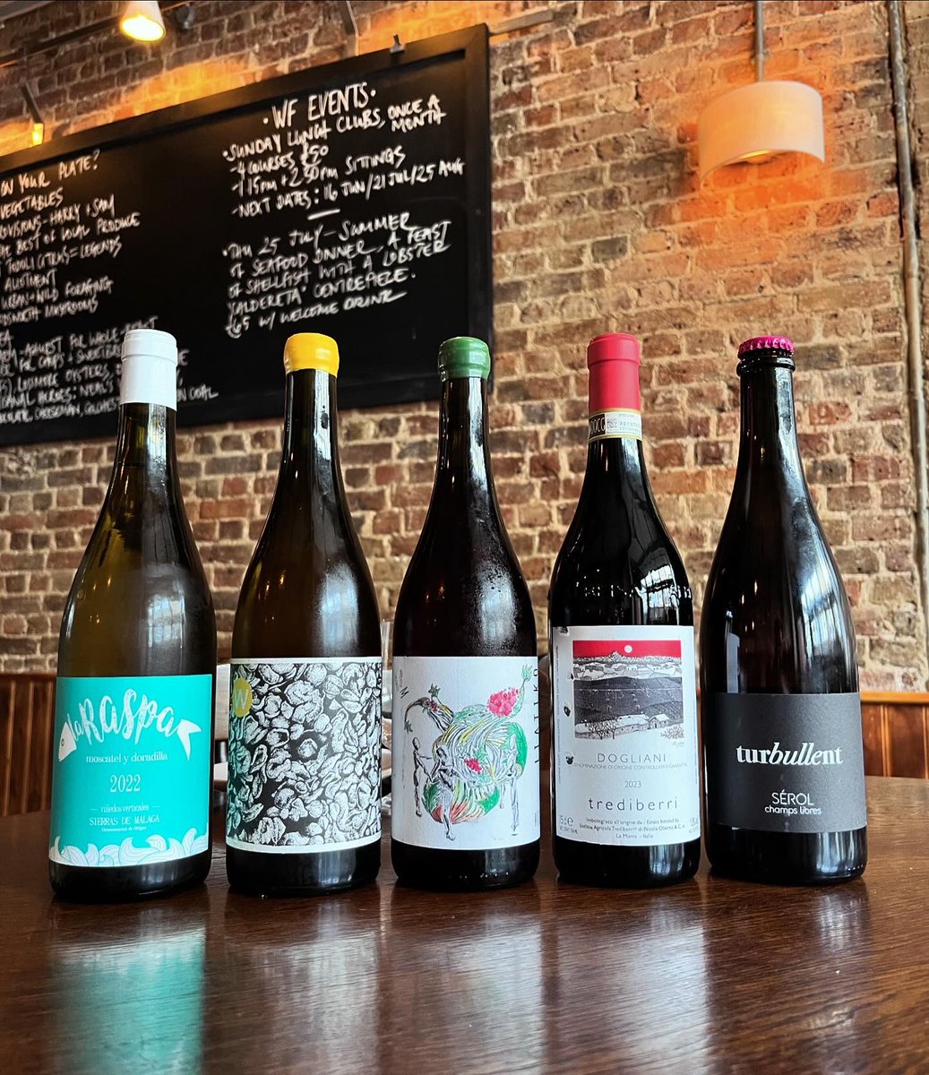 Wild Flor tweet media