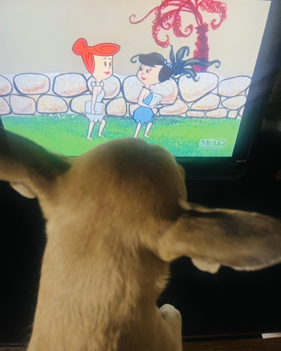 THAREALMIKEP's tweet photo. the #P. is forโฆ โPrez-A-Dinoโ watching his great uncle and the #Flintstones ๐คฃ
#Prez #Dino #Prezzy #SundayFunday https://t.co/SfiwwMWLPE