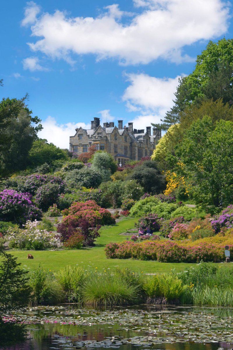 Pipa_Muc's tweet photo. Enchanting @scotneycastleNT Gardens 🇬🇧
#nationaltrust #GardeningX #gardenlovers https://t.co/3BEJxg3PXw