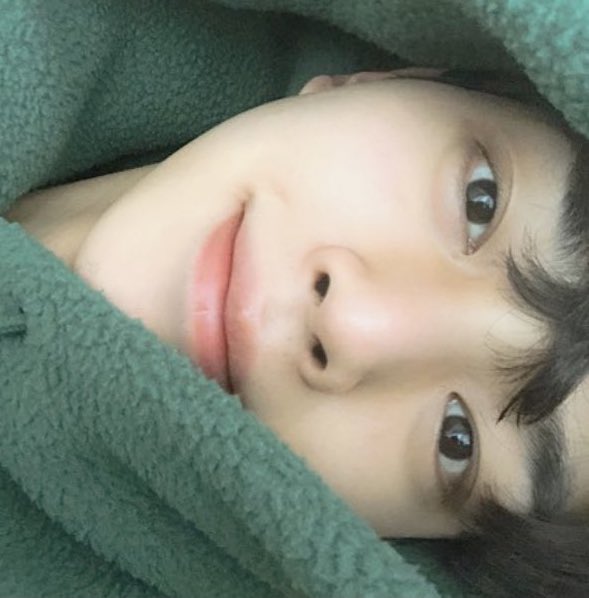 misa는 송강편🦋🌈🐰🐹 tweet media