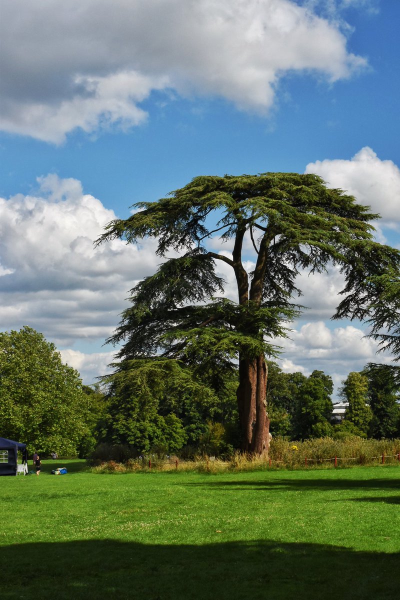Humpo63's tweet photo. This Sunday’s walk was to Lydiard Park. https://t.co/ItNHVD5uJT