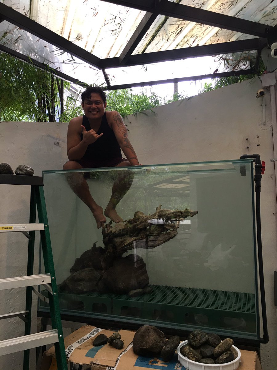 ShannF's tweet photo. Big project in progress! 😊🌿

Have a productive Monday! 💪 https://t.co/Hh3Rr3lNjq