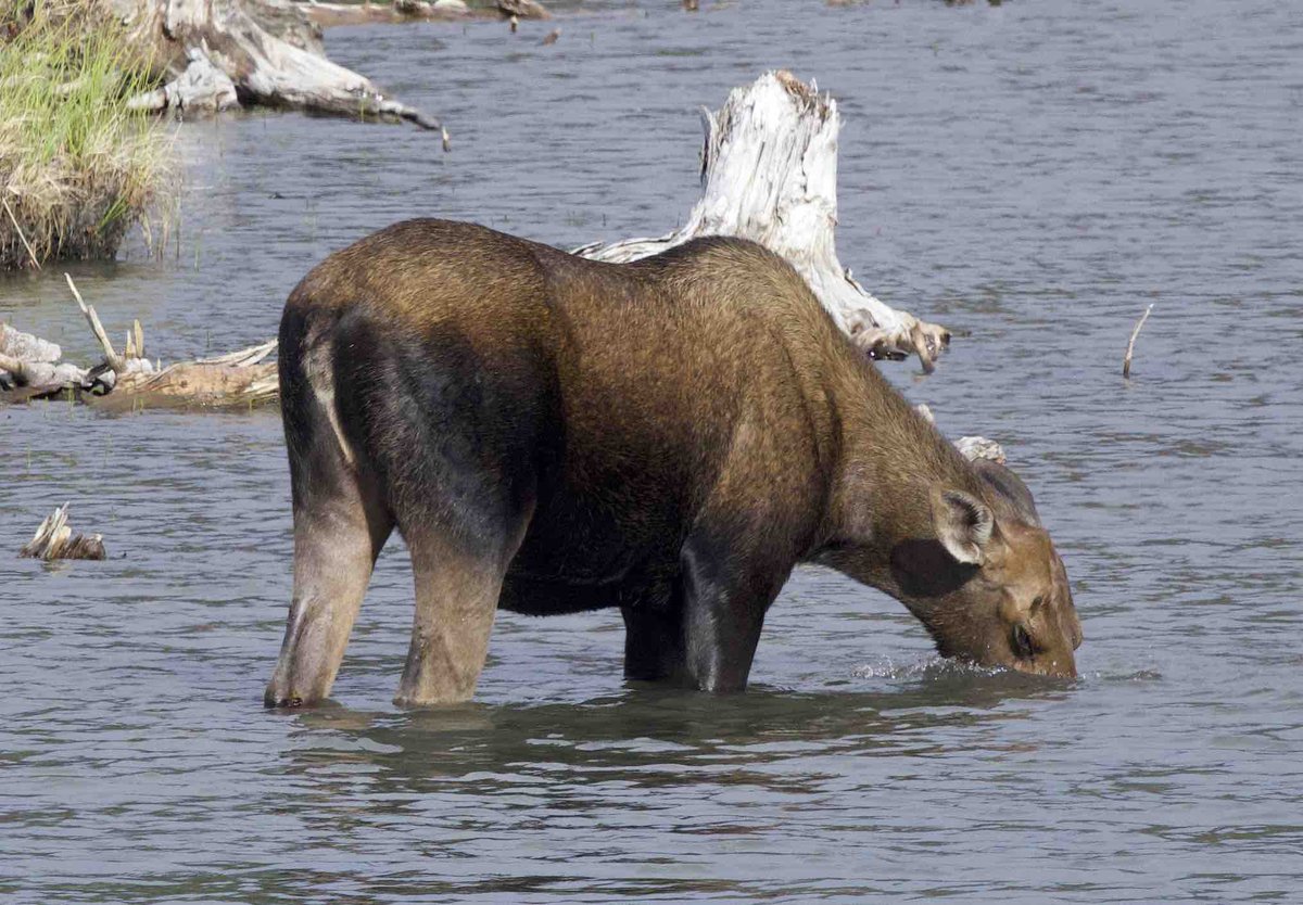 Jason Stefanides tweet media