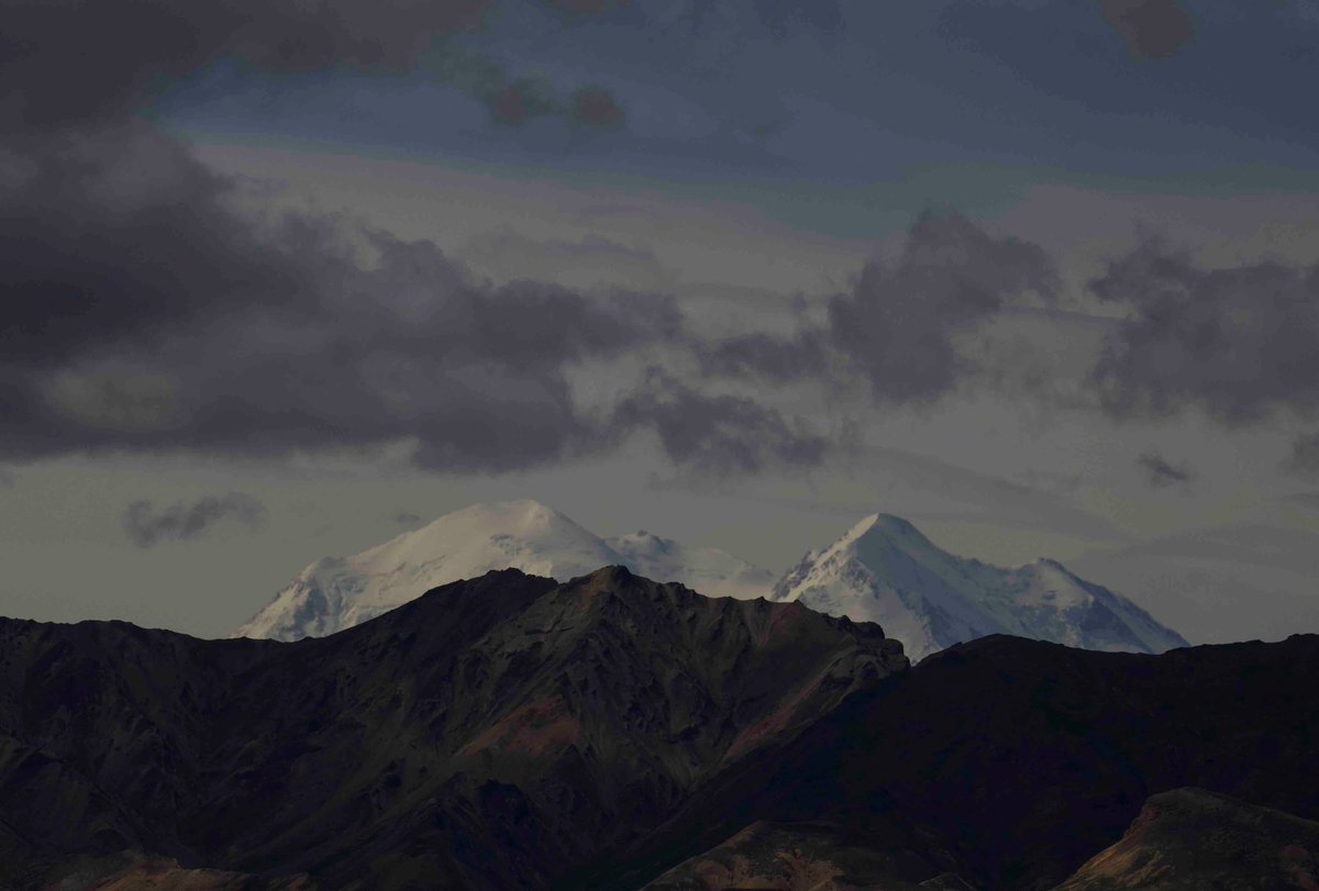 Jason Stefanides tweet media