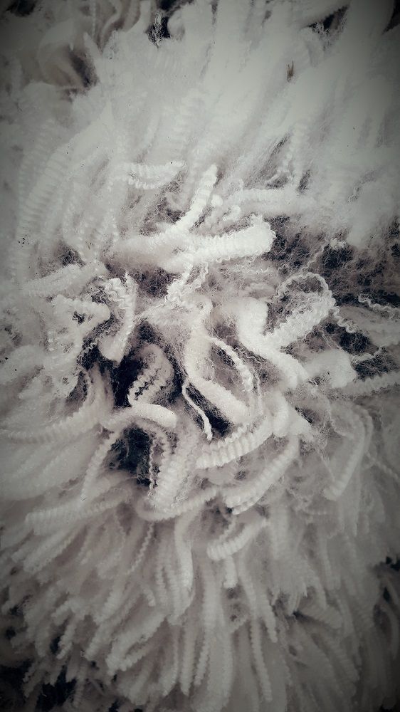 AWI Extension SA tweet media