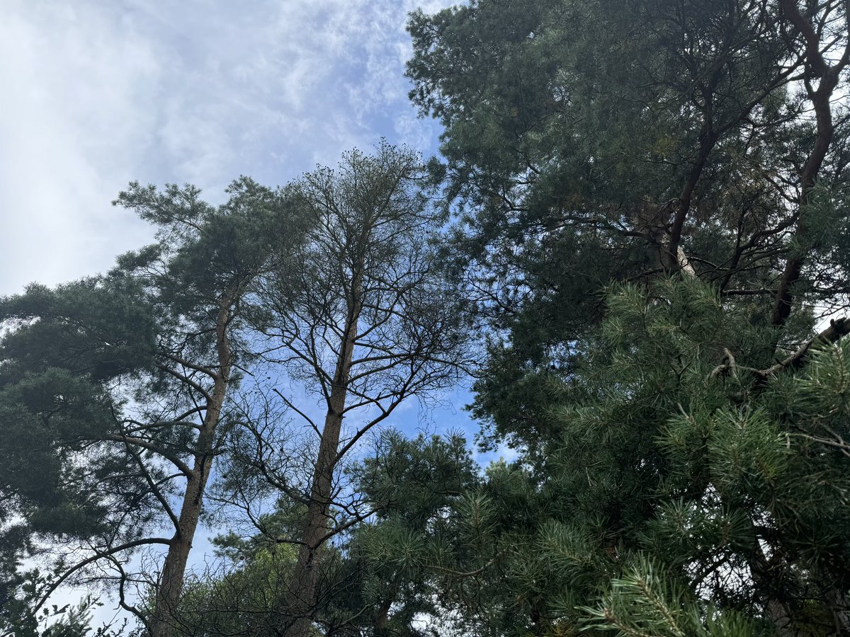 James Surname Ⓥ tweet media