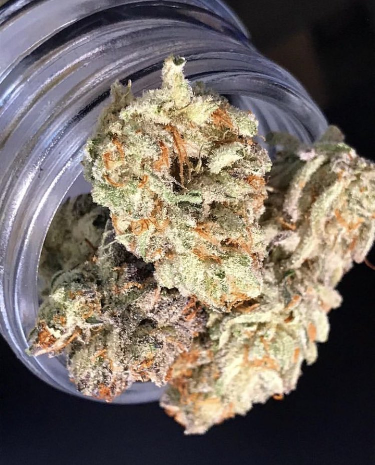 kateBreanna_'s tweet photo. Mendos Breath to start the week✨😌💨

 #topshelflife #cannabis #stayhigh #marijuana #dank #thc #ganjababes #nugs https://t.co/u9CgfFapnj