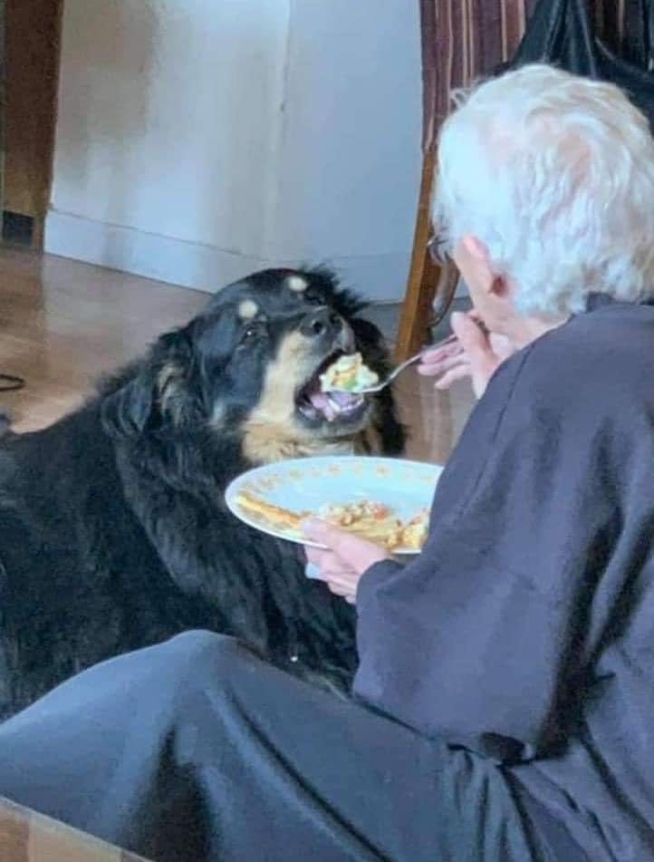 twaniimals's tweet image. ❤️‍🩹