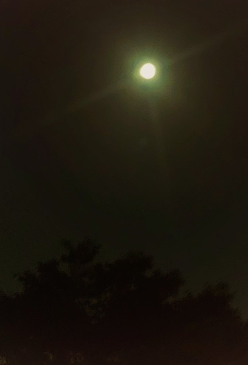 7月満月 - অনুসন্ধান / X