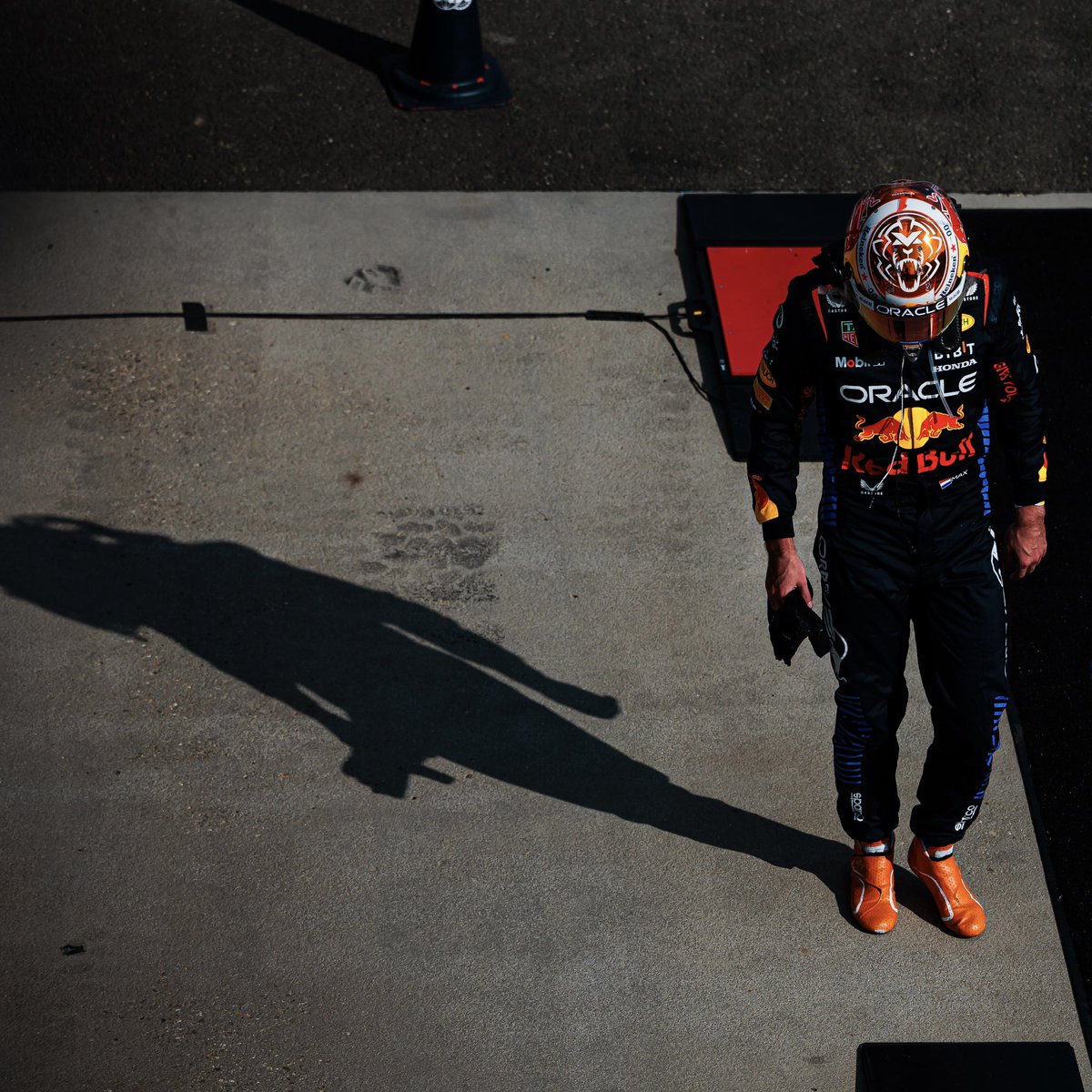 Max Verstappen tweet media