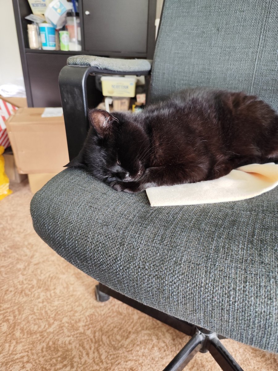 Sue Bland tweet media