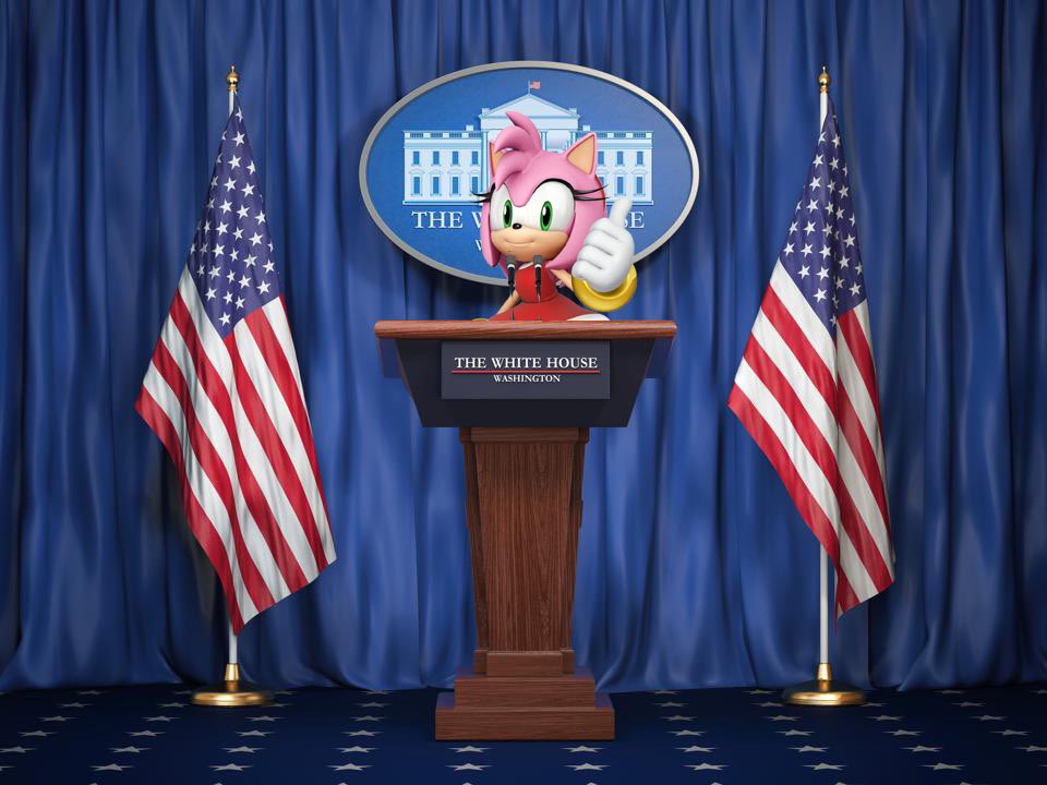 Daily Amy Rose 🌸 tweet media