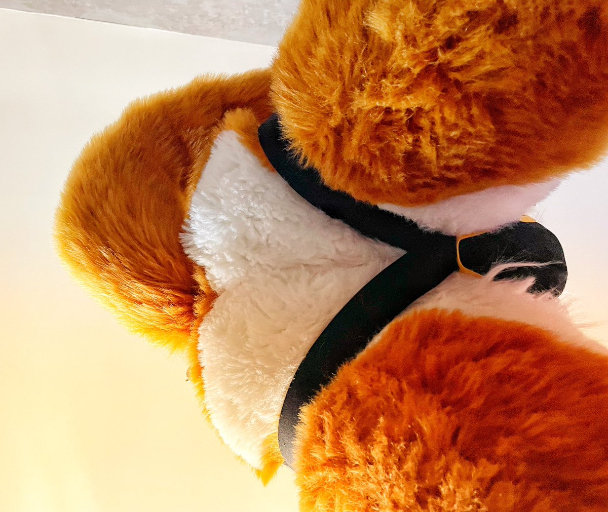 Back view of me 2! Why people always prefer the back view?  <a href="/MadeFurYou/">Made Fur You</a> <a href="/MFYAfterDark/">MFY AfterDark.</a> <a href="/FursuitBooty/">🍑</a> <a href="/Fursuit_Butts/">Fursuit Butts!</a> <a href="/fursuitbootys/">fursuitass</a> <a href="/FurButts/">Fursuit Butts II: 2 Fast 2 Furrious</a> <a href="/FursuitCrotch/">Fursuit Crotch</a>